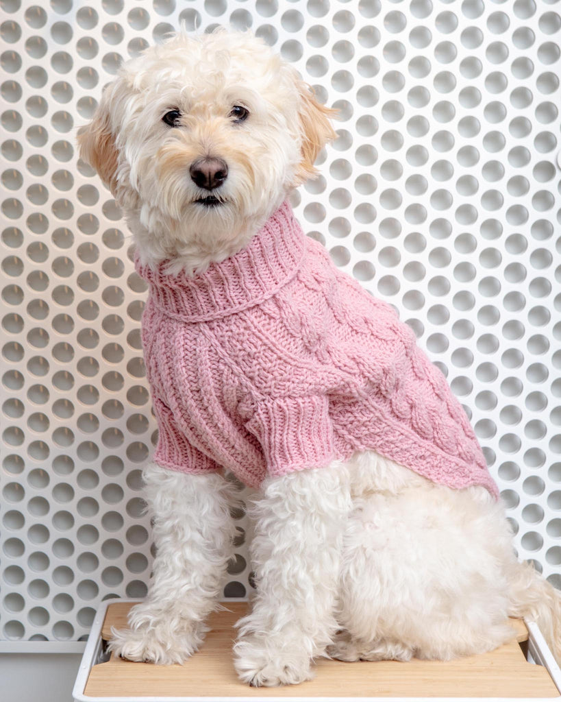 Downtown Roll Neck Dog Sweater in Rose Wear DOG & CO. COLLECTION   