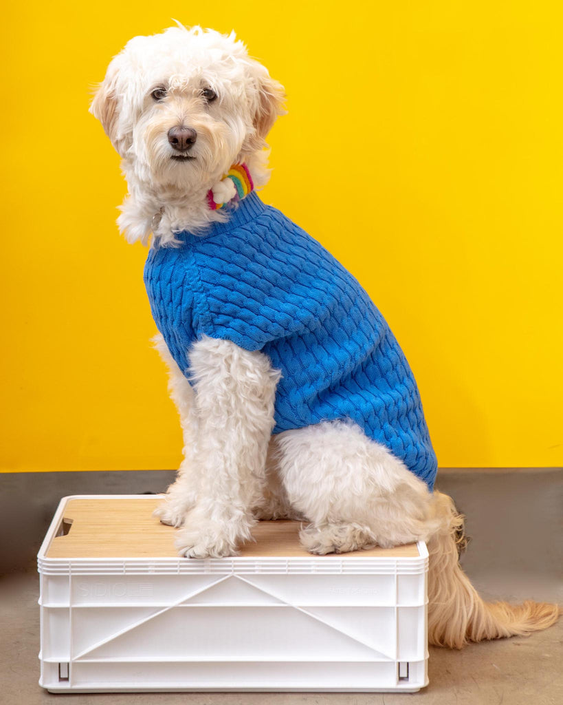 The Uptown Cable Knit Sweater in French Blue American Cotton (Made in NYC) Wear DOG & CO. COLLECTION   