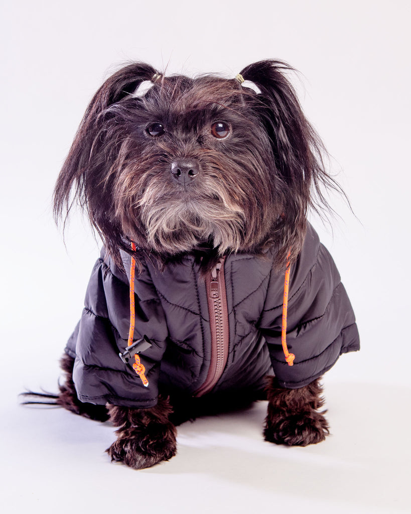 Dog Puffer Jacket in Black << FINAL SALE >> Wear WAGWEAR   