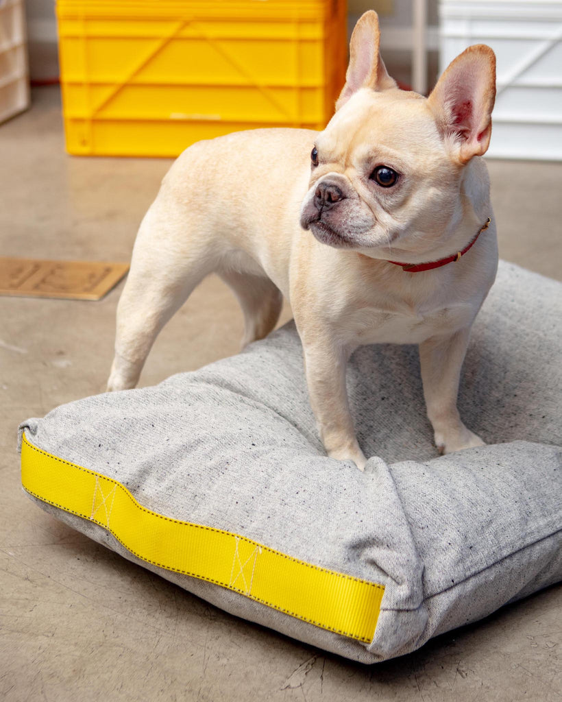 Cotton Pet Cushion in Olive or Ivory Black (FINAL SALE) HOME PUEBCO Ivory Black with Yellow Handle  