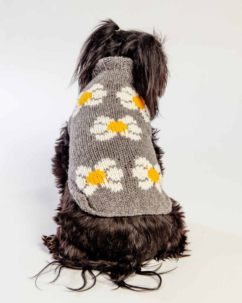 Daisy Wool Knit Dog Sweater << FINAL SALE >> Wear CHILLY DOG   