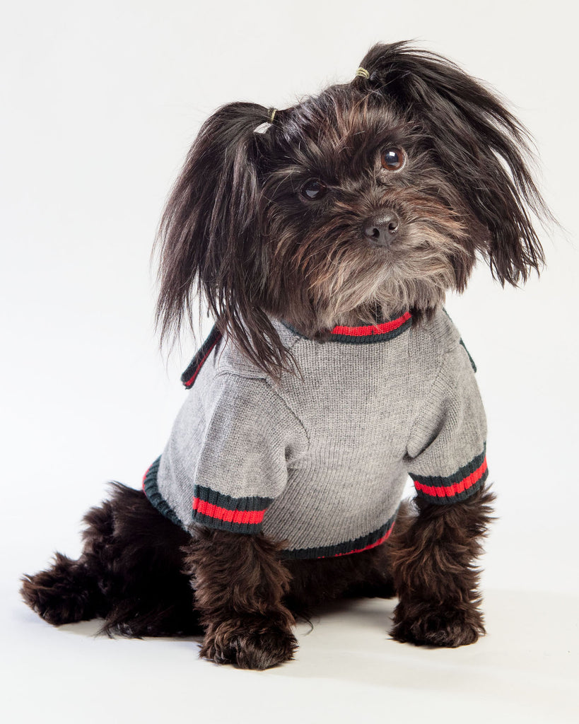 Luxe Stripe Tie Dog Sweater << FINAL SALE >> Wear BELLA BEAN   