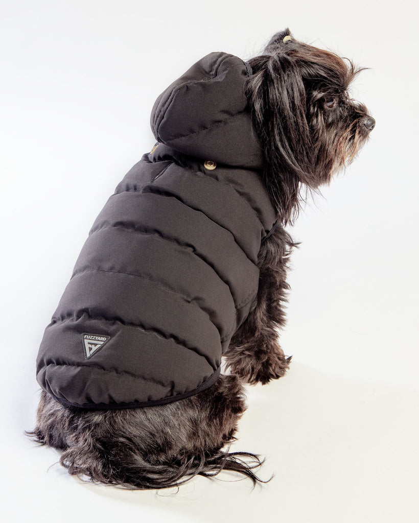 Black Aspen Puffer Dog Jacket  << FINAL SALE >> Wear FUZZYARD   