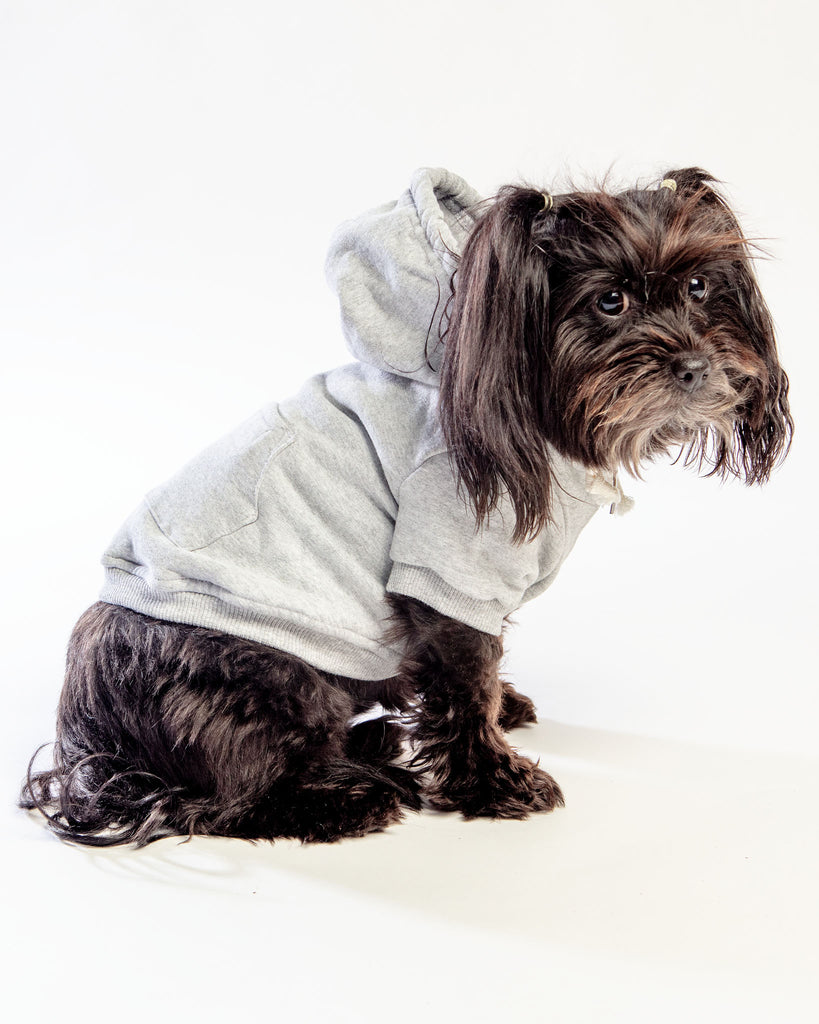 Light Grey Zip-Up Dog Hoodie << FINAL SALE >> Wear ELLIE DOG WEAR   
