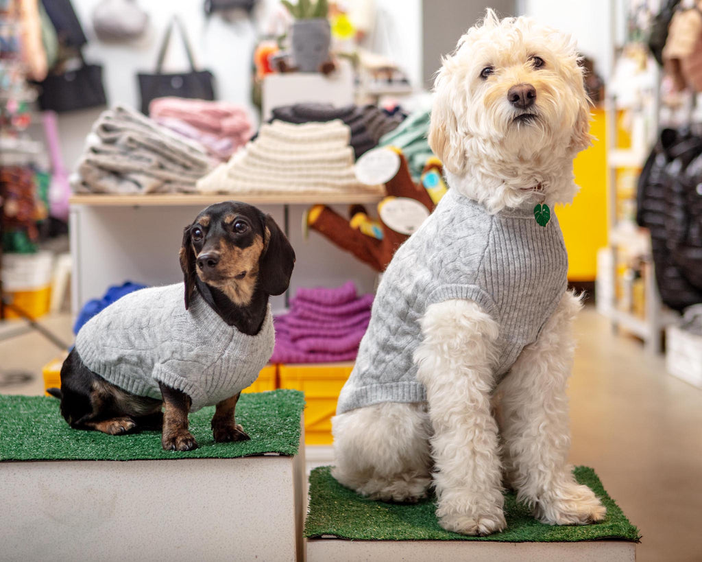 Fuzzy Knit Dog Crewneck Sweater in Heather Grey (FINAL SALE) Wear BLUEBERRY PET   