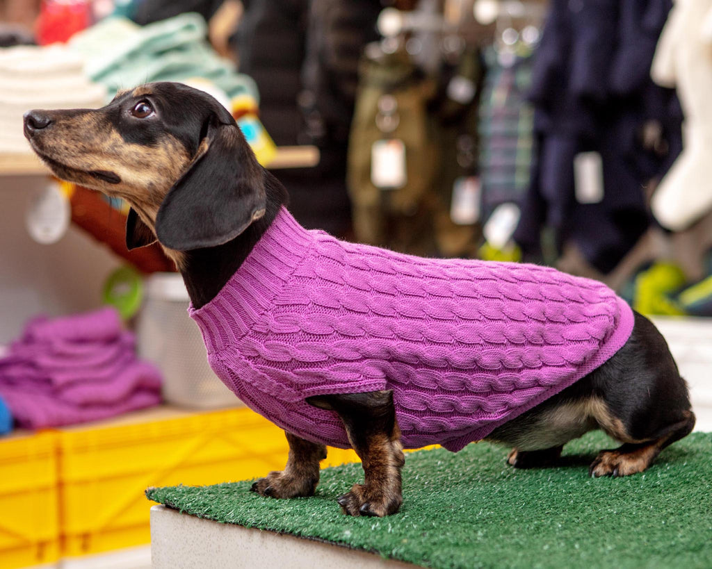 The Uptown Cable Knit Sweater in Radiant Orchid American Cotton (Made in NYC) Wear DOG & CO. COLLECTION   