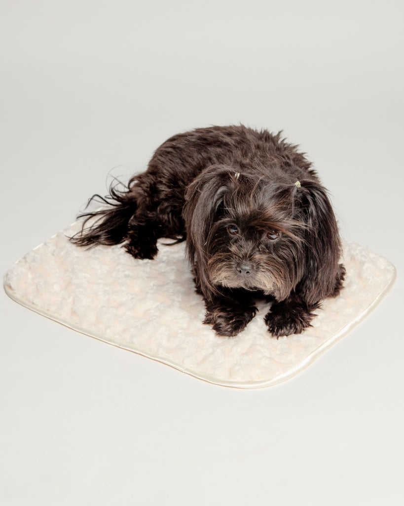 Rosebud Dog Blanket in Cream (Made in the USA) HOME HELLO DOGGIE   