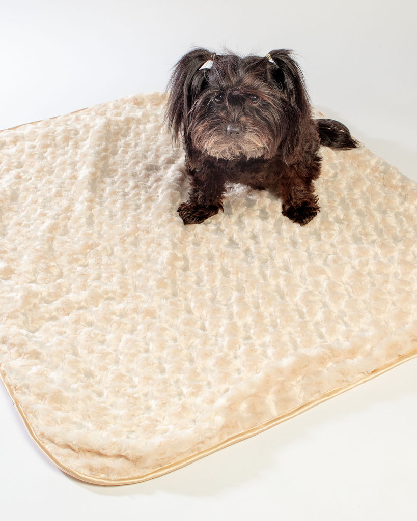 Rosebud Dog Blanket in Tan (Made in the USA) HOME HELLO DOGGIE   