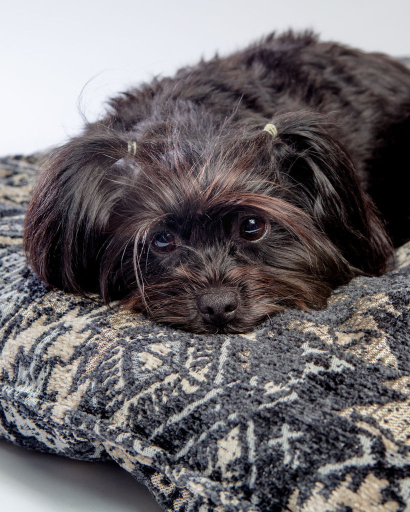 Tufted Dog Cushion in Mendocino (FINAL SALE) HOME BOWSER'S PET PRODUCTS   