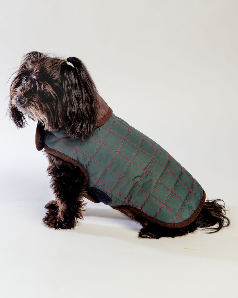The Traveler Fleece-Lined Waterproof Dog Coat << FINAL SALE >> Wear PACO & LUCIA   