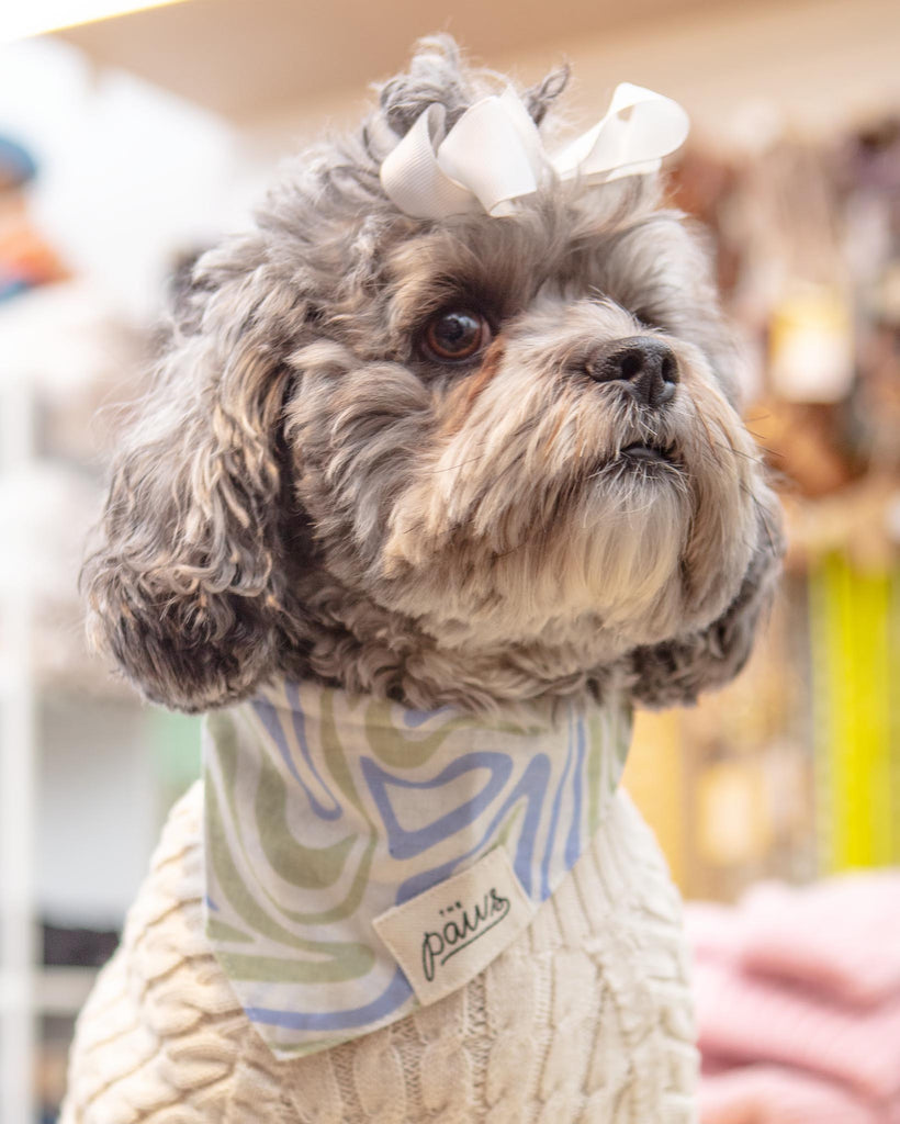 Yeah Baby Dog Bandana (FINAL SALE) Wear THE PAWS   