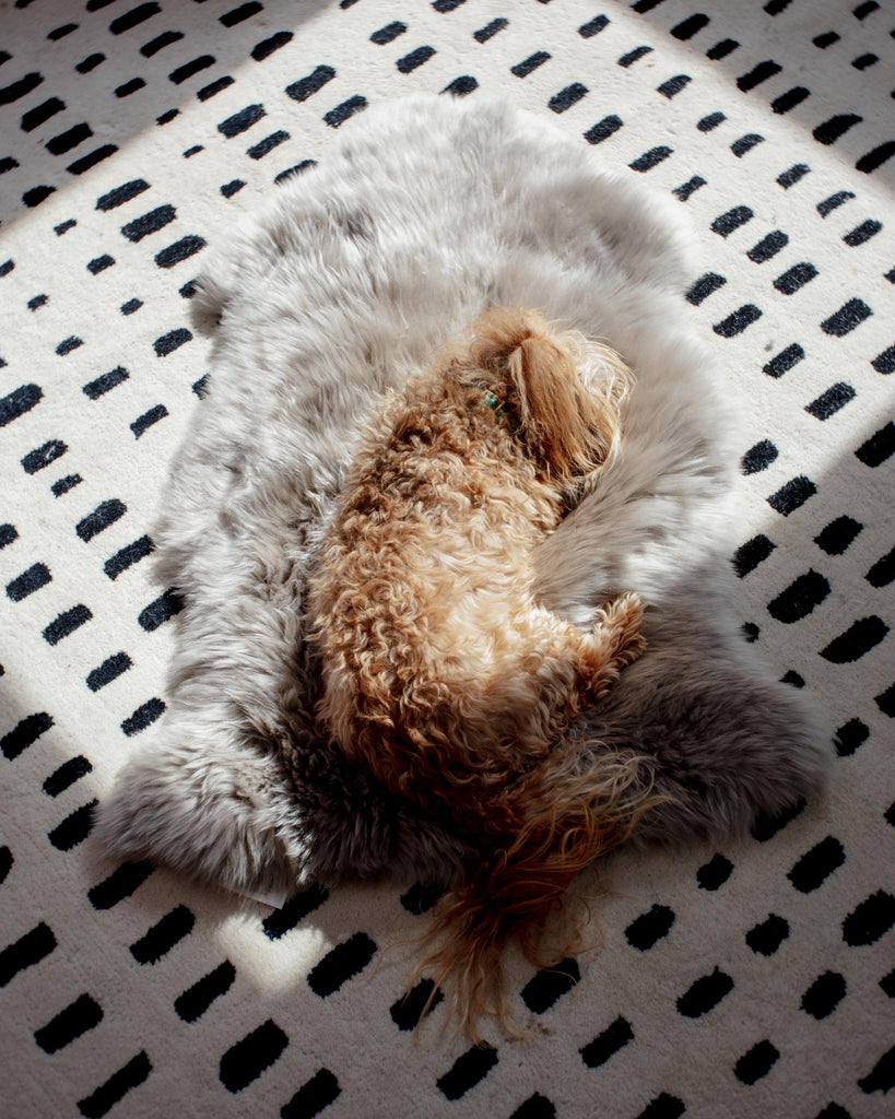 Natural Sheepskin Pet Throw in Chateau Grey (25"x37") HOME THE MOOD   