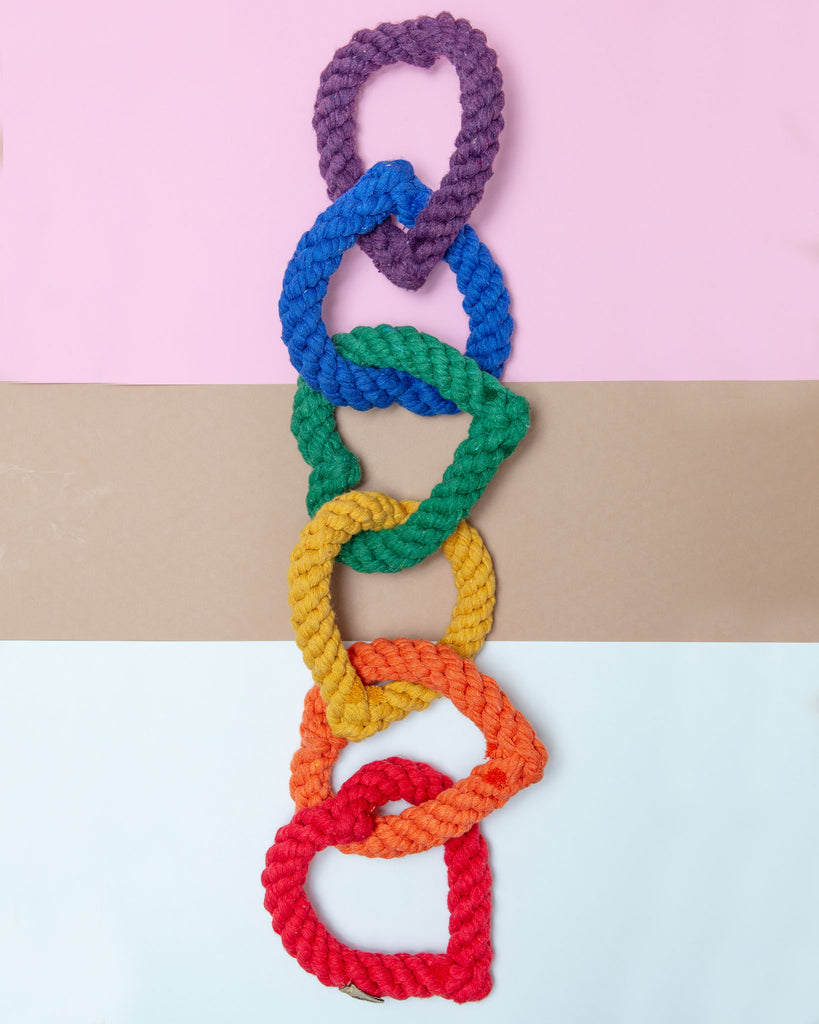 6 Chain Heart Rope Dog Toy in Rainbow Play JAX & BONES   