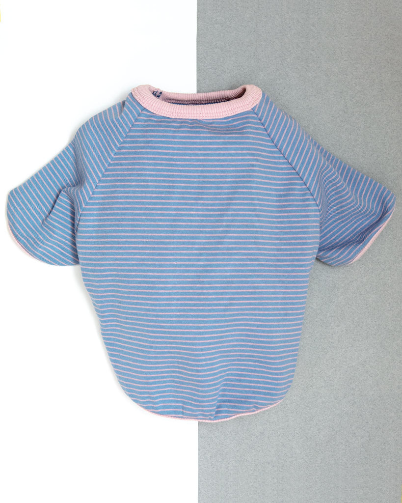 Rib Dog T-Shirt in Baby Blue & Pink Stripe (FINAL SALE) Wear MILLTOWN BRAND   