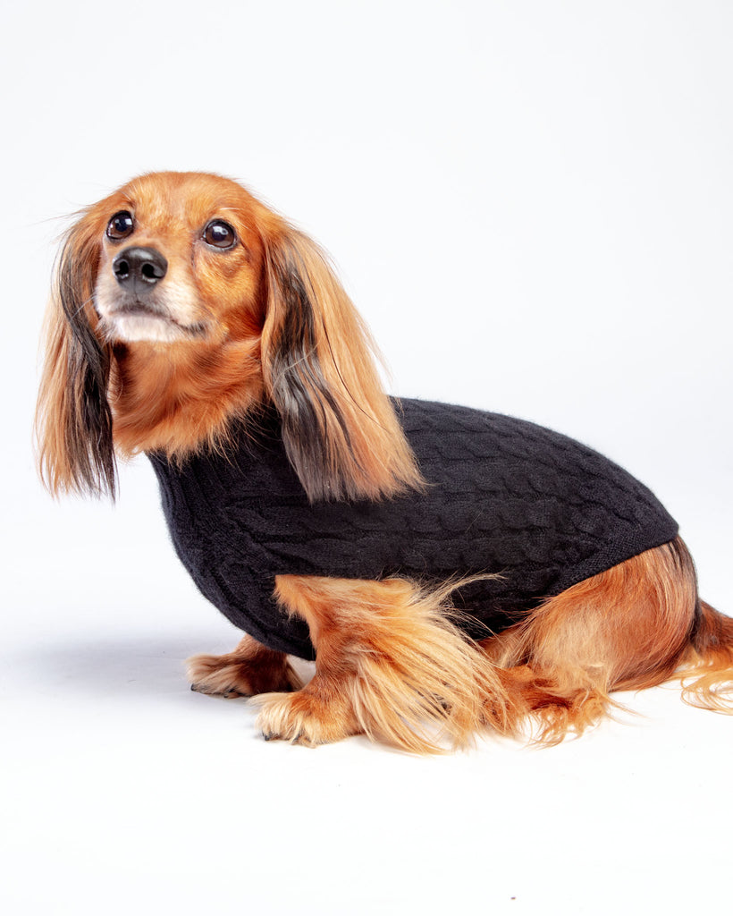 The Uptown Cable Knit Sweater in Black Cashmere (Made in NYC) Wear DOG & CO. COLLECTION   