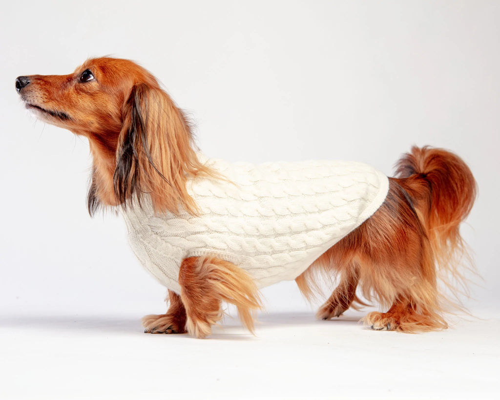 The Uptown Cable Knit Sweater in Natural American Cotton (Made in NYC) Wear DOG & CO. COLLECTION   