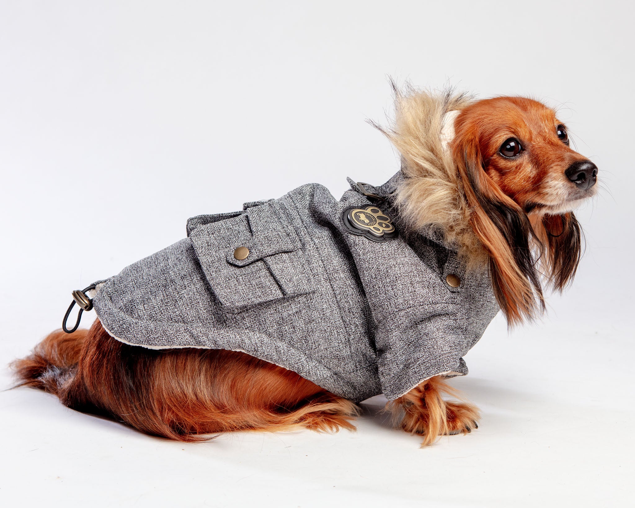 Dog_Co_1C5A2388_2048x.jpg?v=