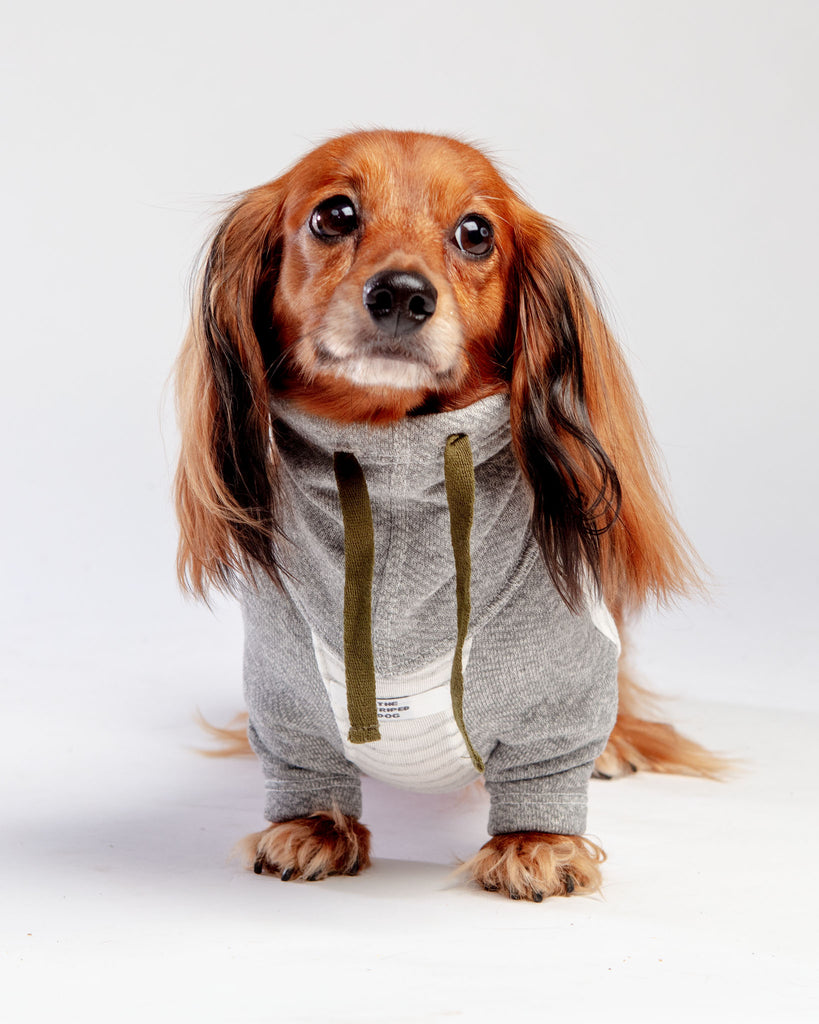 Oxford Stripe Dog Funnel Neck Pullover<br>((CLEARANCE) Wear THE STRIPED DOG   