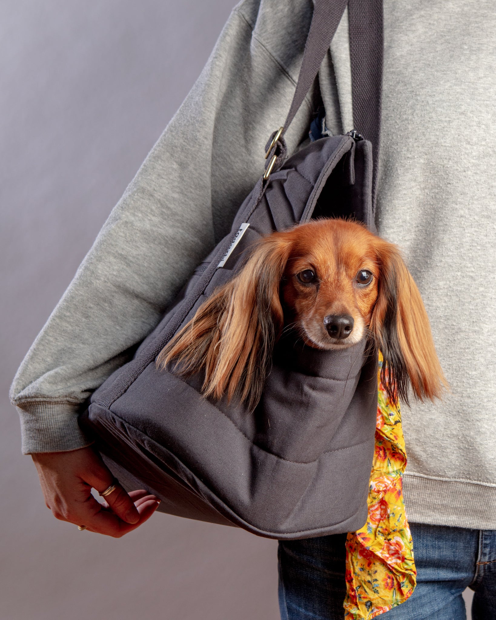 TADAZHI | Rio Dog Carrier Bag in Warm Grey | DOG & CO.