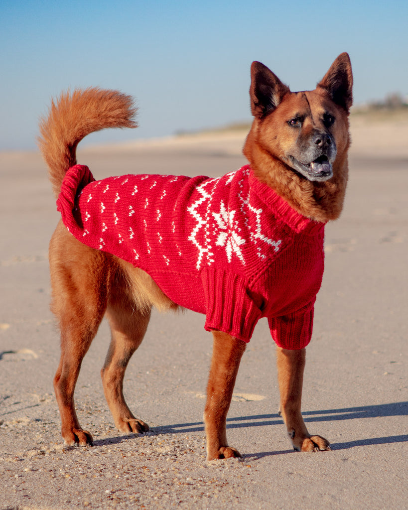 DOG COLLECTION Warm All Winter Happy Hand Knit Snowflake