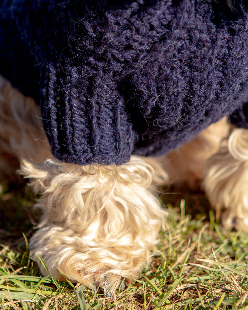 Downtown Roll Neck Dog Sweater in Navy wear DOG & CO. COLLECTION   