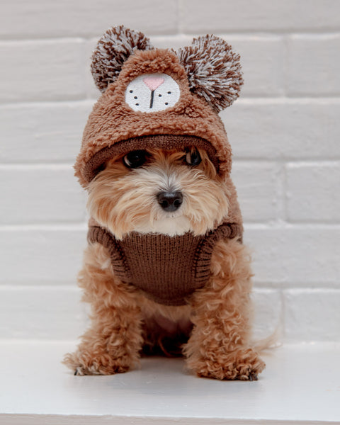 THE WORTHY DOG Fuzzy Wuzzy Bear Hoodie DOG - Main Image