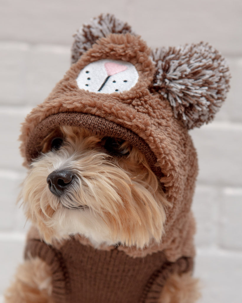 Fuzzy Wuzzy Teddy Bear Dog Hoodie << FINAL SALE >> Wear THE WORTHY DOG   