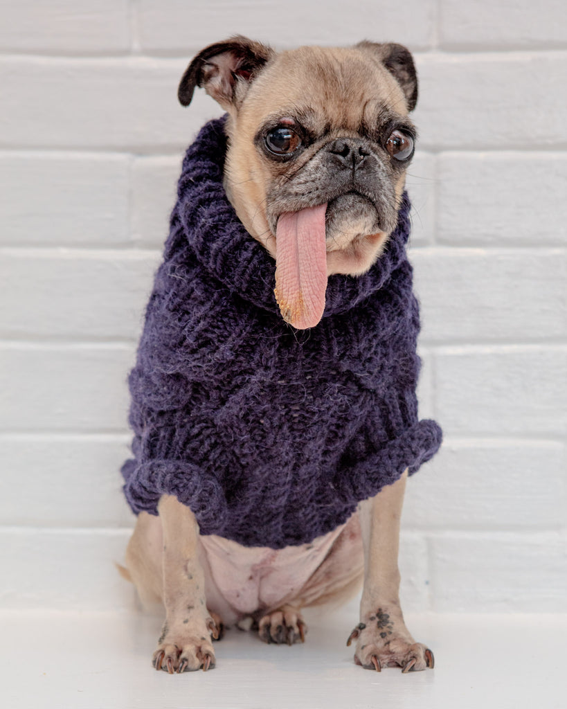 Downtown Roll Neck Dog Sweater in Navy wear DOG & CO. COLLECTION   