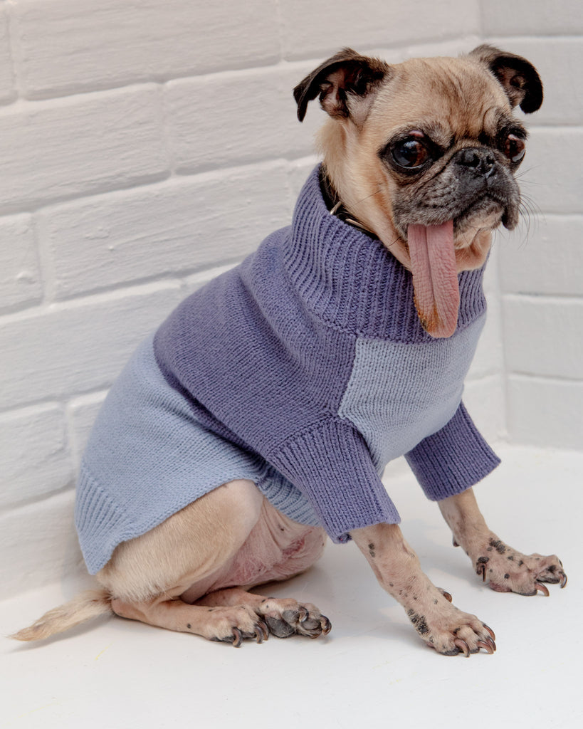 Colorblock Knit Dog Sweater in 2-Tone Blue<br>((FINAL SALE)) Wear KNIT BON BONS   