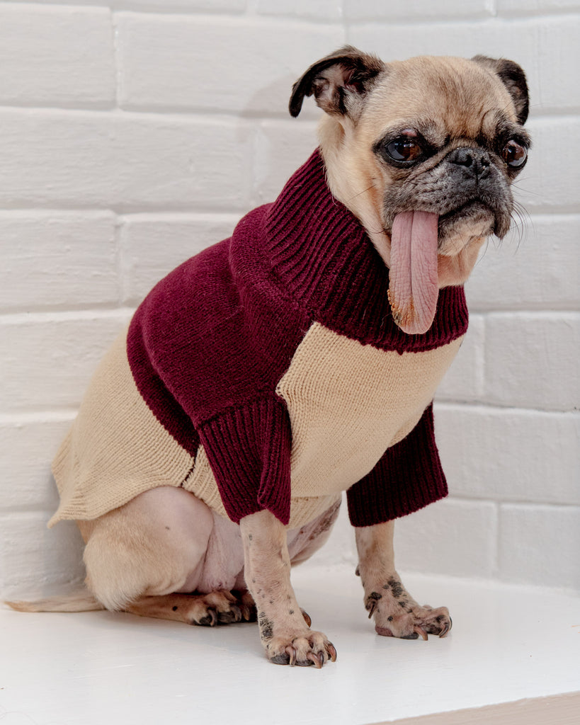 Colorblock Knit Dog Sweater in Burgundy & Beige<br>((FINAL SALE)) Wear KNIT BON BONS   