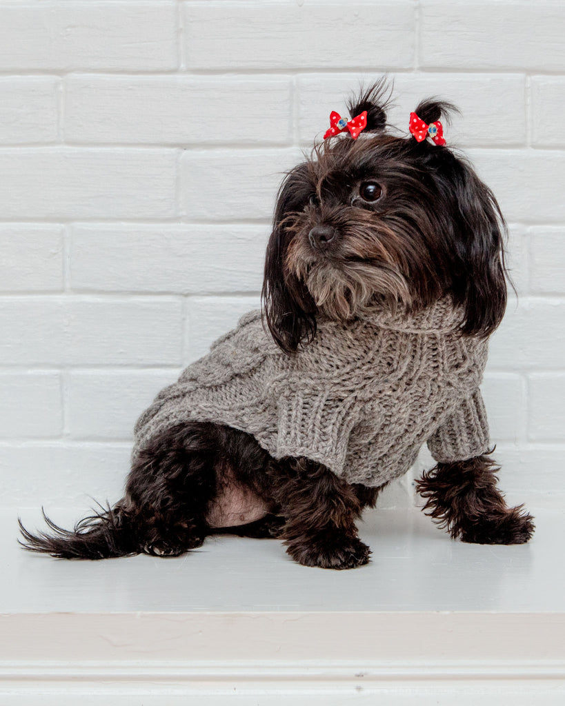 Downtown Roll Neck Dog Sweater in Grey Wear DOG & CO. COLLECTION   