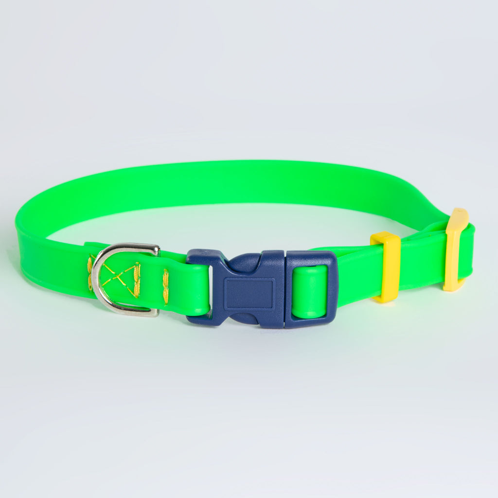 A Walk in the Park Dog Collar in Neon Green (Made in the USA) WALK DOG & CO. COLLECTION   