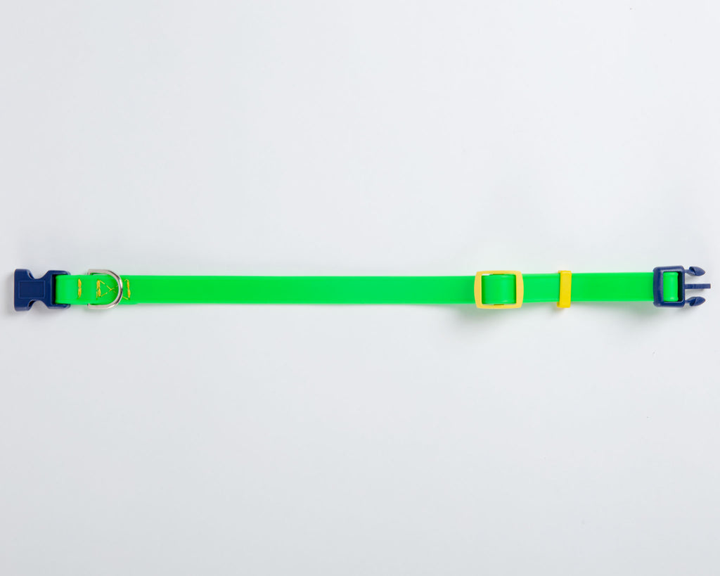 A Walk in the Park Dog Collar in Neon Green (Made in the USA) WALK DOG & CO. COLLECTION   