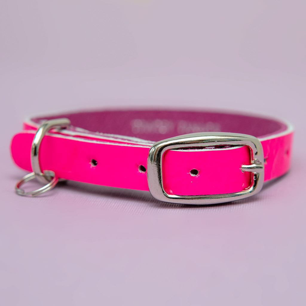 The Cleo Leather Tag Collar in Neon Pink Patent (DOG & CO. Exclusive) WALK TRACEY TANNER   
