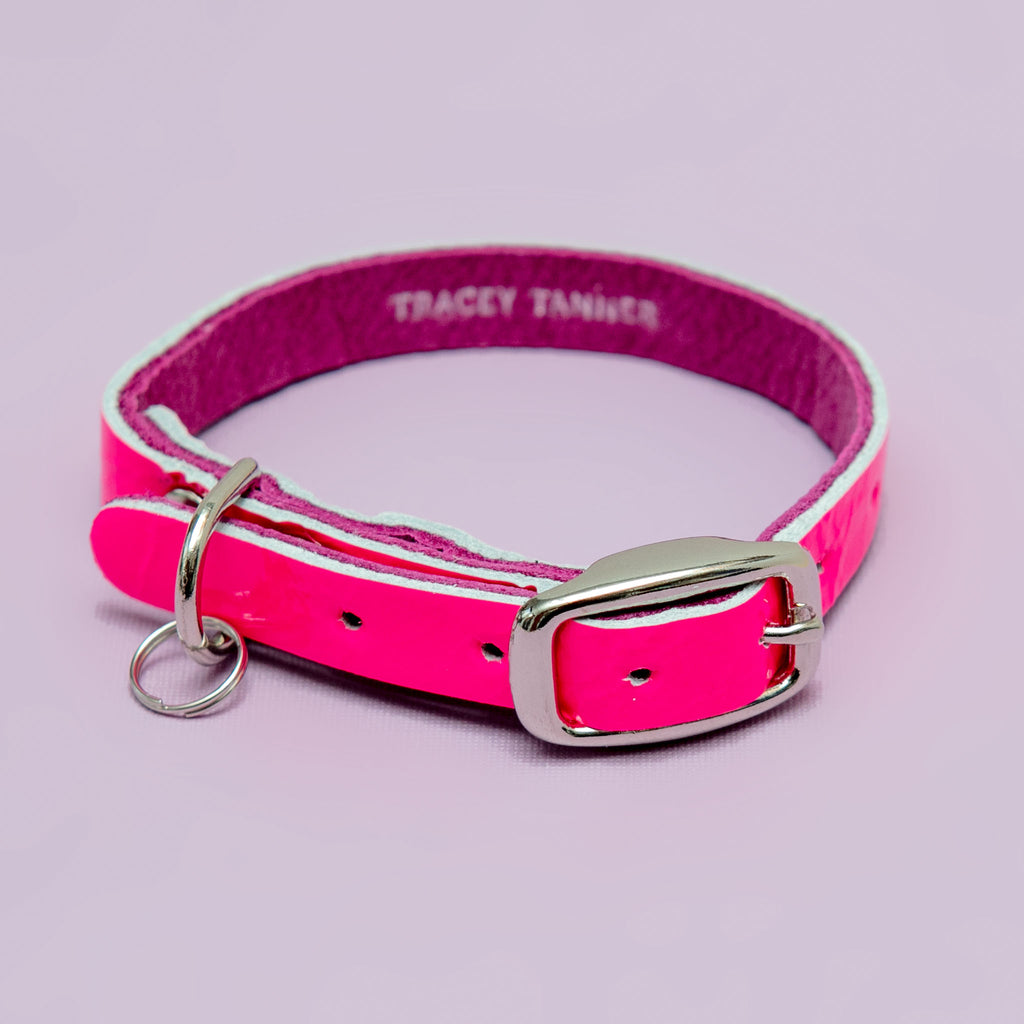 The Cleo Leather Tag Collar in Neon Pink Patent (DOG & CO. Exclusive) WALK TRACEY TANNER   