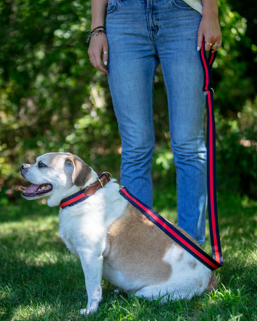 Navy & Red Stripe Dog Leash (Made in the USA) WALK BARRONS-HUNTER   