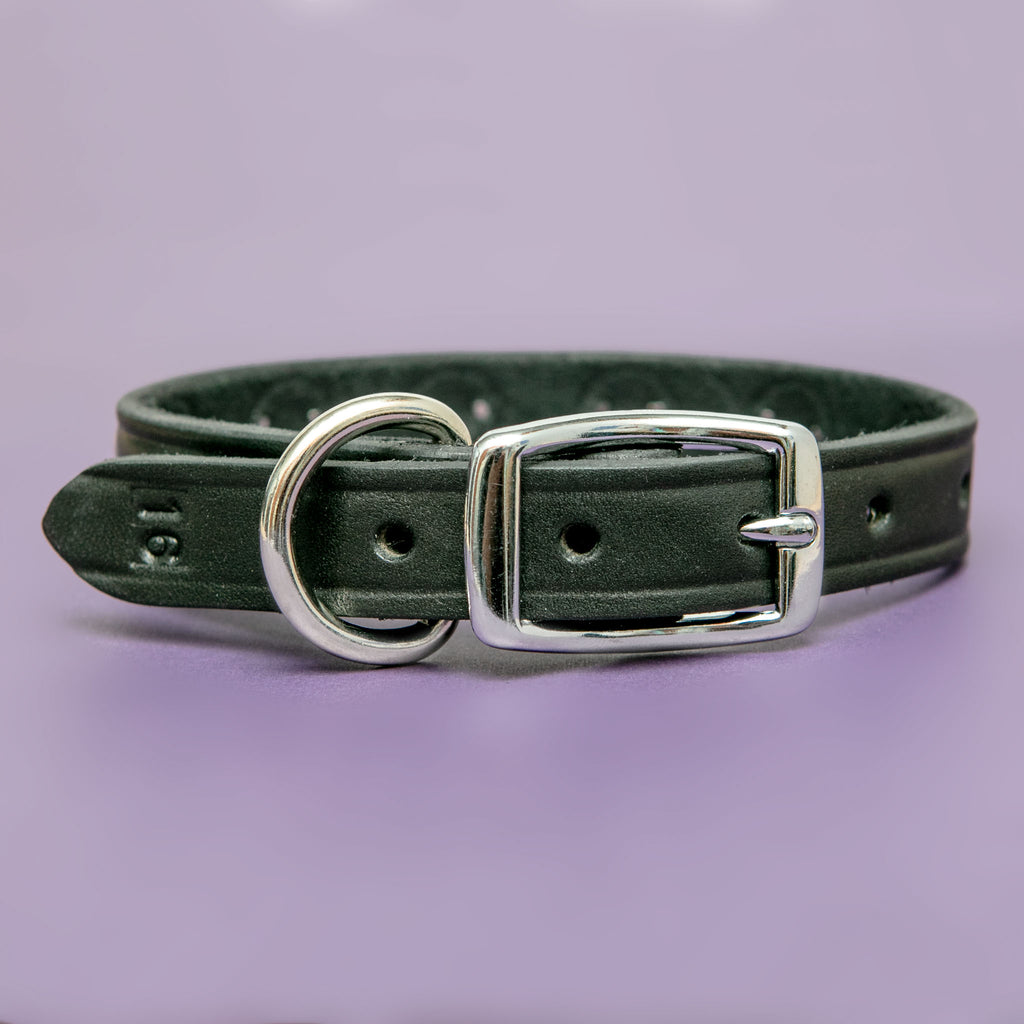 Hey Stud Black Leather Dog Collar (Made in the USA) (FINAL SALE) WALK BARKWELL   