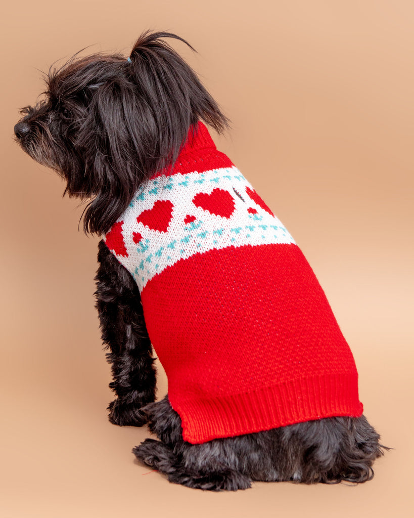 Whole Lotta Love Heart Dog Sweater<br>((FINAL SALE)) Wear FINNEGAN'S STANDARD GOODS   