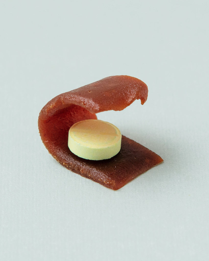 Peanut Butter Pill Wrap-Ups for Dogs & Cats Eat STASHIOS   