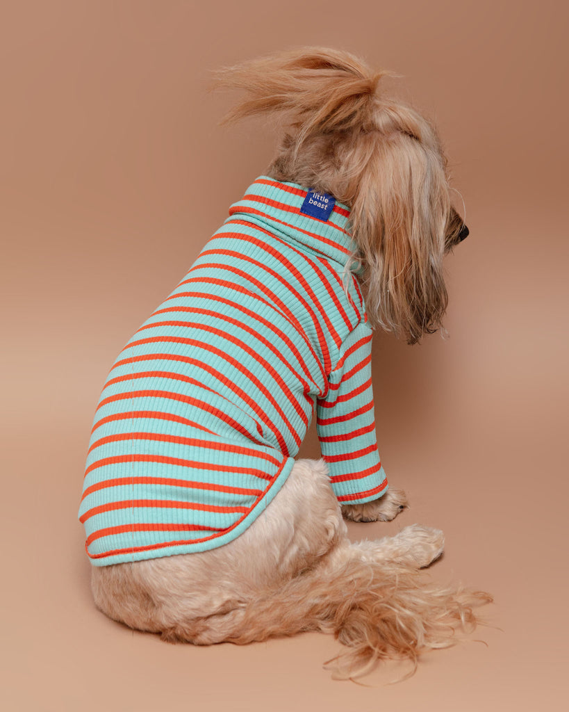 Life's a Beach Ribbed Pullover Wear LITTLE BEAST   