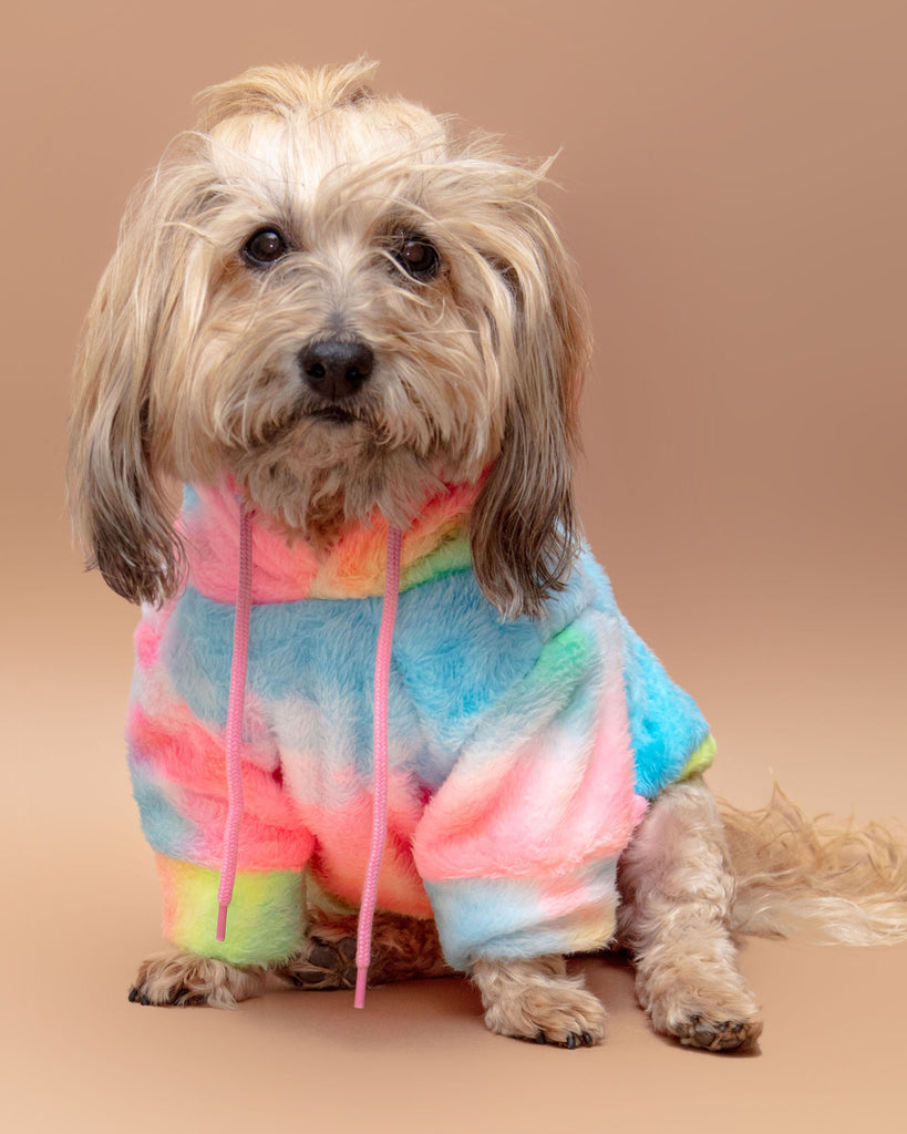 The Pineapple Express Fleece Hoodie<br>((FINAL SALE)) Dog Apparel LITTLE BEAST   