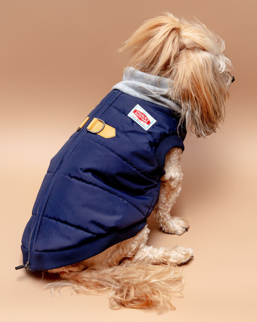 Warm Up Harness Jacket in Navy<br>((FINAL SALE)) Wear CHARLIE'S BACKYARD   