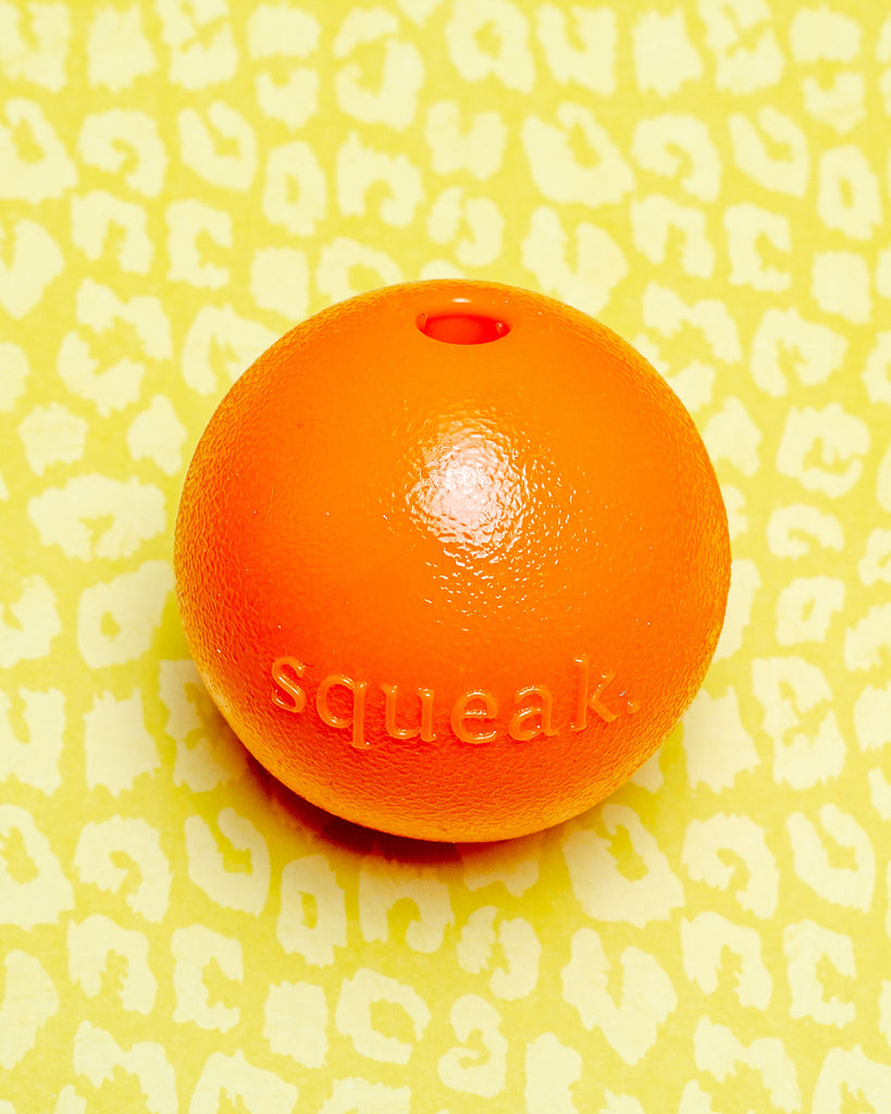 Orange Orbee-Tuff Squeak Dog Ball (Made in the USA) Play PLANET DOG   