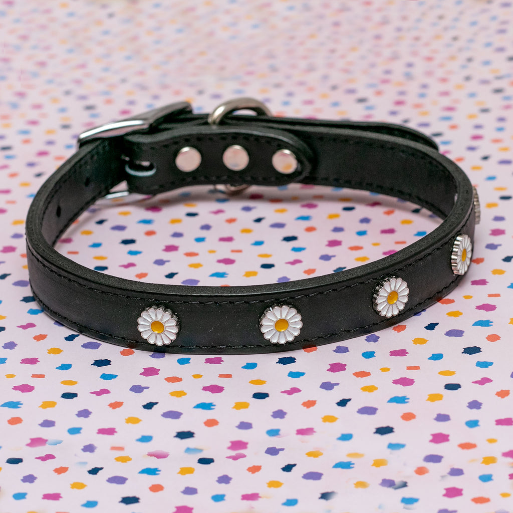 Daisy Dog Collar in Black Leather (Made in the USA) << FINAL SALE >> WALK BARKWELL   