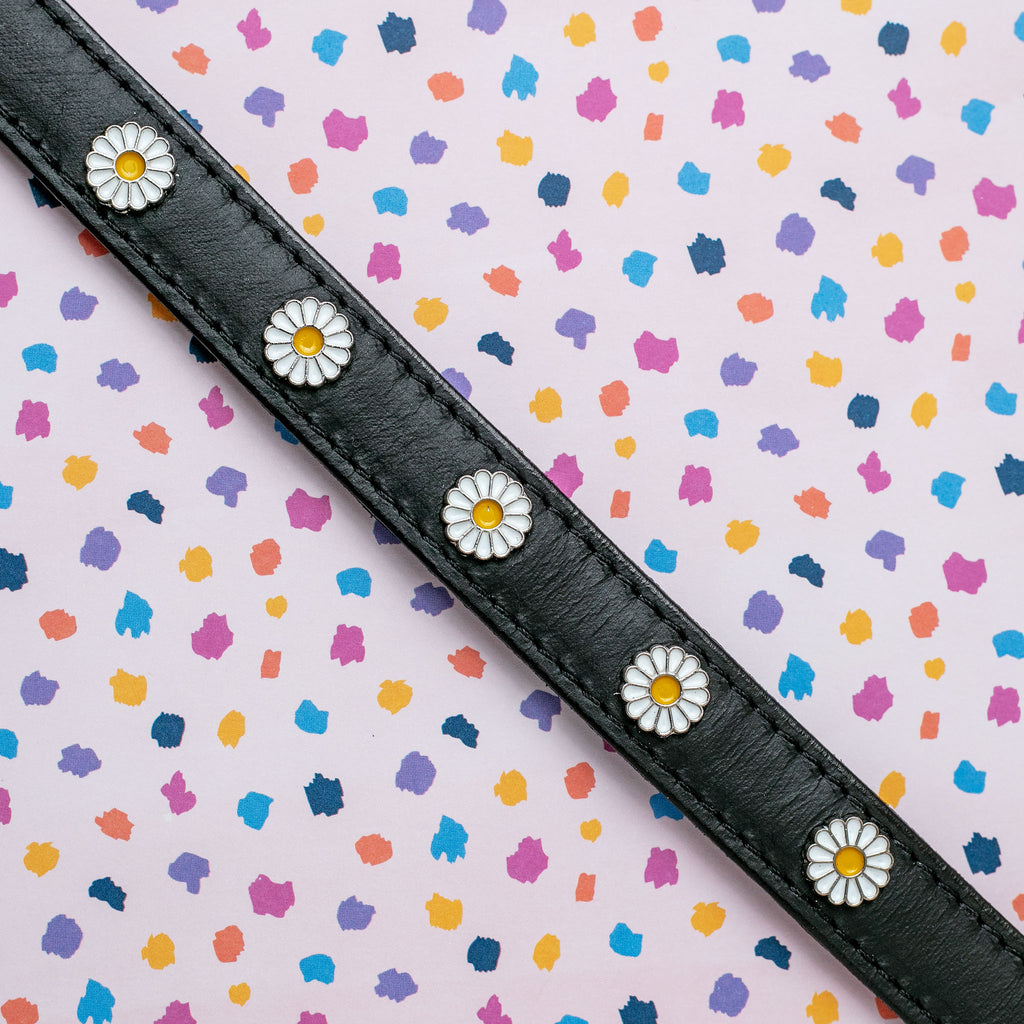 Daisy Dog Collar in Black Leather (Made in the USA) << FINAL SALE >> WALK BARKWELL   