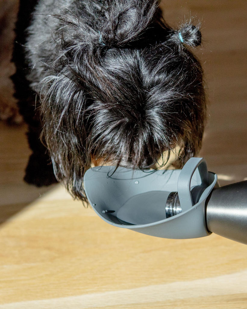 Travel Dog Bowl Bottle Attachment in Grey Eat S'WELL   