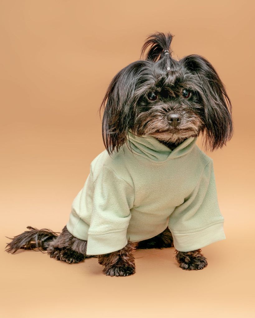 The Basics Dog Hoodie in Summer Seafoam (Made in the USA) << CLEARANCE >> Wear MIA & CO.   