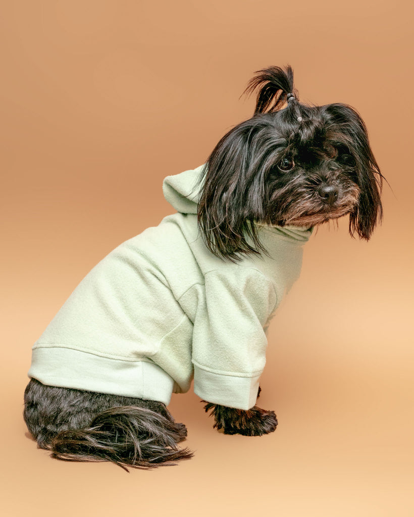 The Basics Dog Hoodie in Summer Seafoam (Made in the USA) << CLEARANCE >> Wear MIA & CO.   