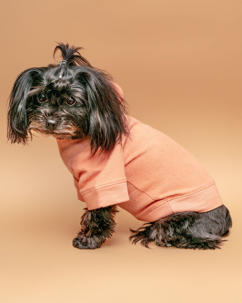 The Basics Dog Hoodie in Copper Terra << CLEARANCE >> Wear MIA & CO.   