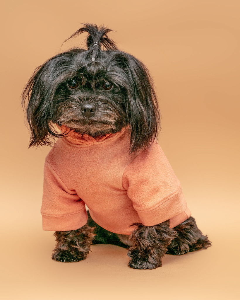 The Basics Dog Hoodie in Copper Terra << CLEARANCE >> Wear MIA & CO.   